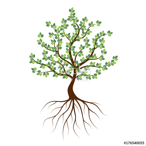 Green Tree With Roots An Icon On A White Background Stock Image 500x500 Green Tree With Roots An Icon On A White Background Stock Image