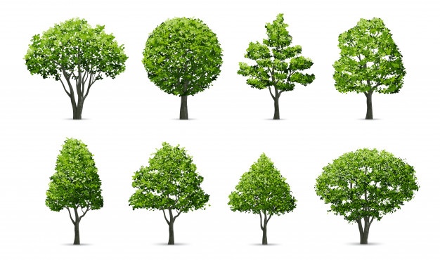 Green Trees Vector Free Download 626x370 Green Trees Vector Free Download