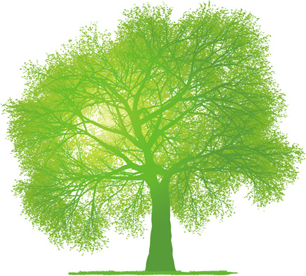 Creative Green Tree Design Vector Graphics Free Vector 437x395 Creative Green Tree Design Vector Graphics Free Vector
