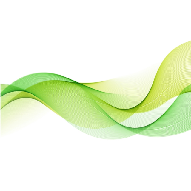 640x640 Green Leaves Png, Vector, And Clipart With Transparent