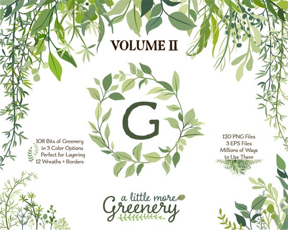 570x456 Leaf Clip Art Greenery Clipart Vector Foliage Leaf Etsy