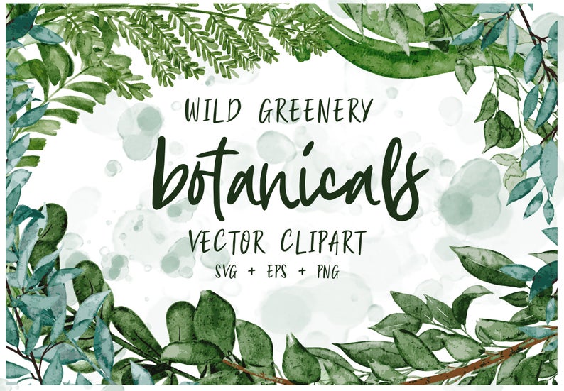 794x551 Botanical Greenery Vector Art Commercial Use Muted Etsy