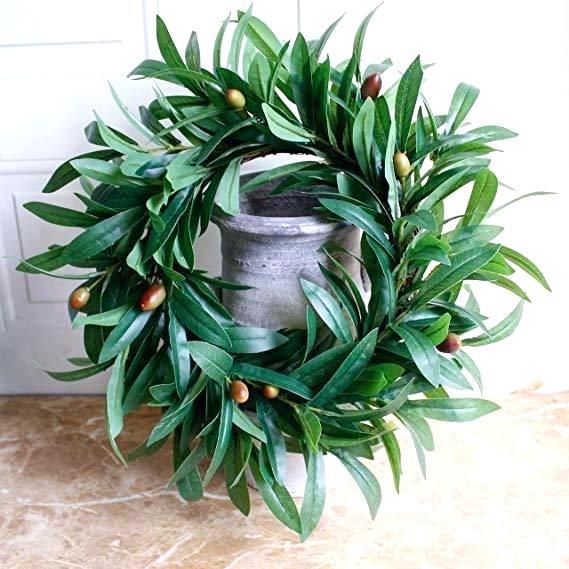 569x569 Olive Wreath Olive Wreath Crown Stock Photos Olive Wreath