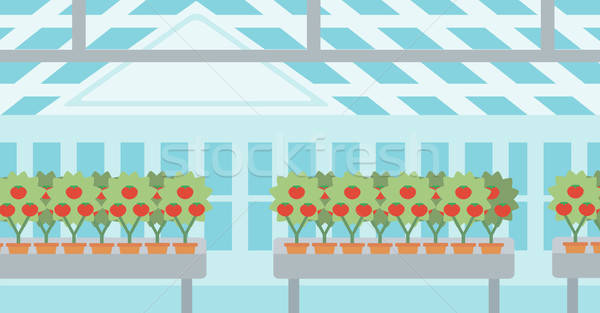 Greenhouse Vector