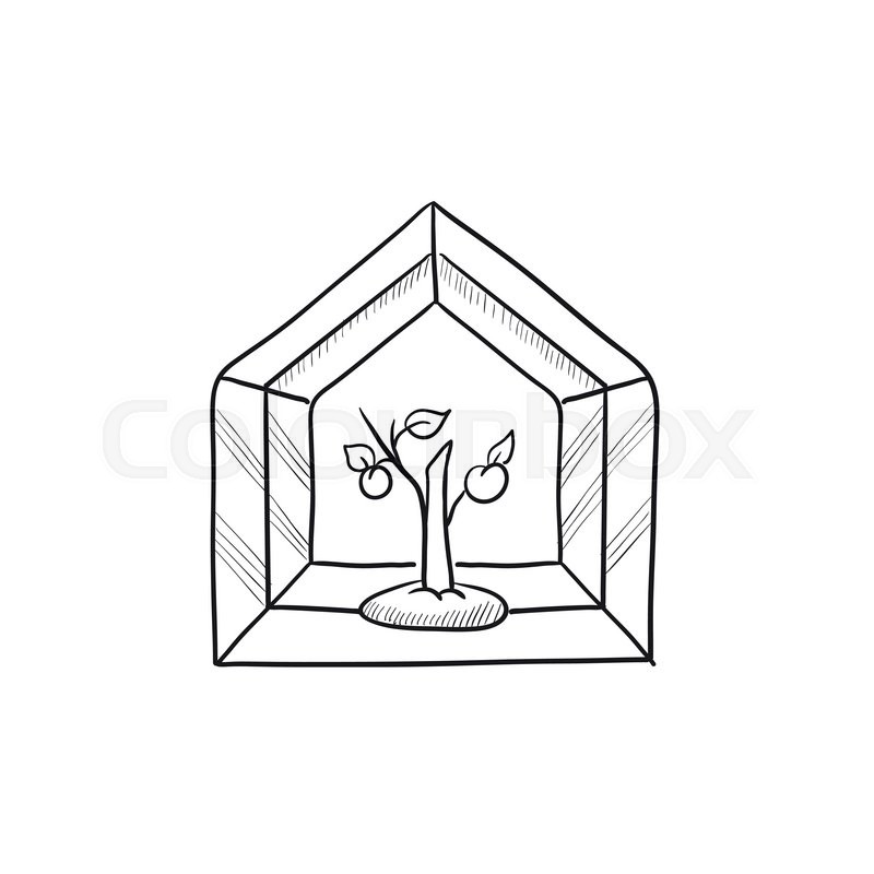 800x800 Greenhouse Vector Sketch Icon Isolated Stock Vector Colourbox