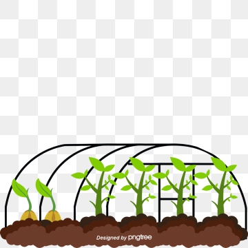 360x360 Greenhouse Png, Vector, And Clipart With Transparent