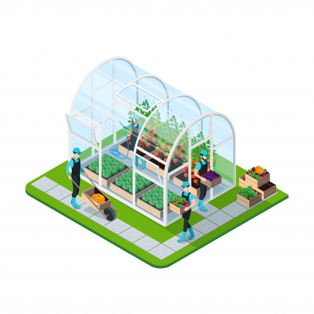 626x626 Greenhouse Vectors, Photos And Free Download