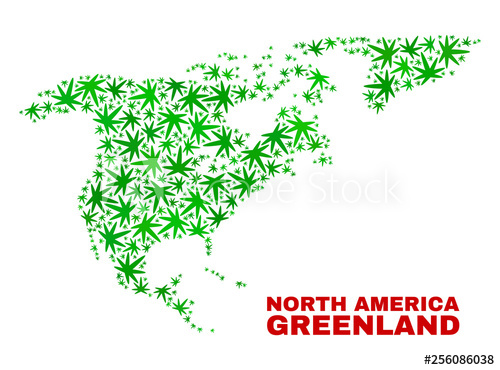 500x370 Vector Cannabis North America And Greenland Map Collage Template