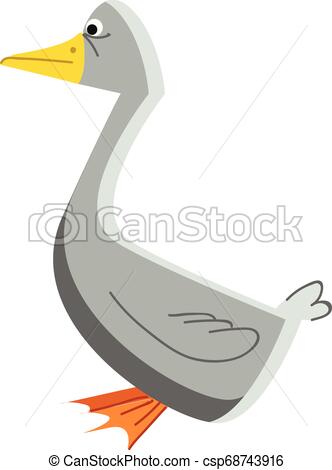 332x470 A Grey Color Waterfowl Bird With A Yellow Sharp Beak And Webbed