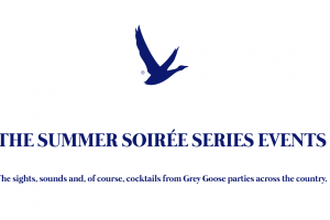 vector grey goose logo