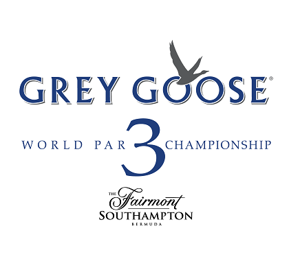 image of grey goose logo