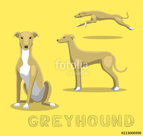 Dog Greyhound Cartoon Vector Illustration Stock Image And Royalty 500x475 Dog Greyhound Cartoon Vector Illustration Stock Image And Royalty