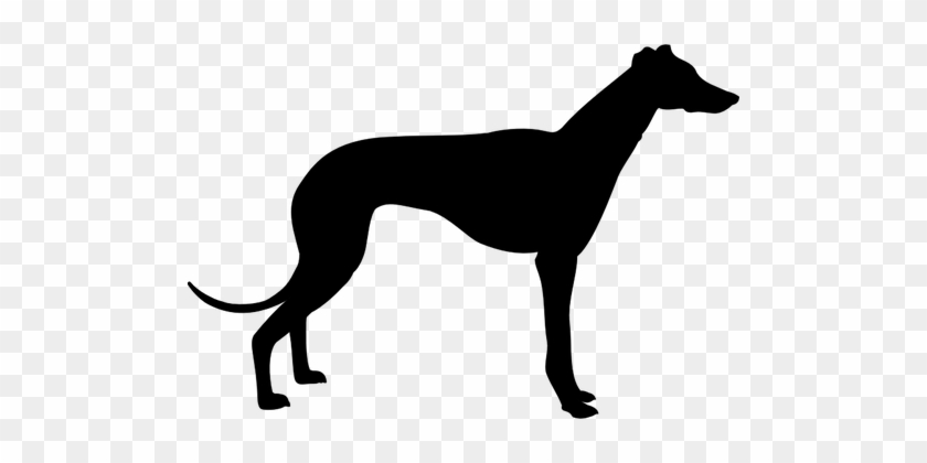 Greyhound Vector At Vectorified.com | Collection Of Greyhound Vector ...