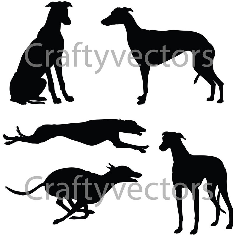 Greyhound Vector At Vectorified.com | Collection Of Greyhound Vector ...