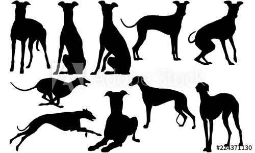 Greyhound Dog Cricut, Silhouette Clip Art, Vector 500x300 Greyhound Dog Cricut, Silhouette Clip Art, Vector
