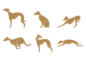 Greyhound Free Vector Art 286x200 Greyhound Free Vector Art