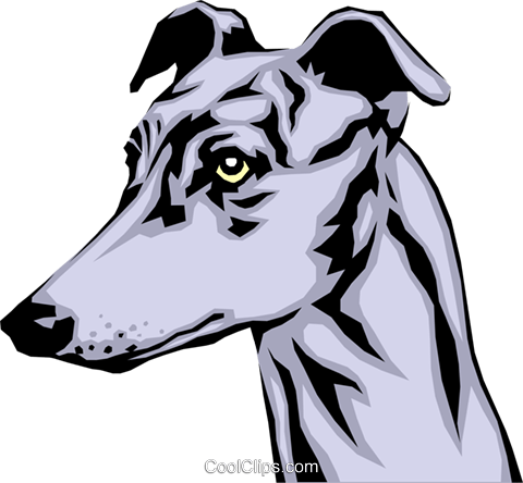 Greyhound Royalty Free Vector Clip Art Illustration 480x444 Greyhound Royalty Free Vector Clip Art Illustration