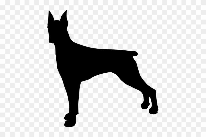 Greyhound Vector Stencil Clip Art Transparent Stock 840x560 Greyhound Vector Stencil Clip Art Transparent Stock