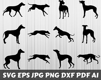 Greyhound Vector Etsy 340x270 Greyhound Vector Etsy