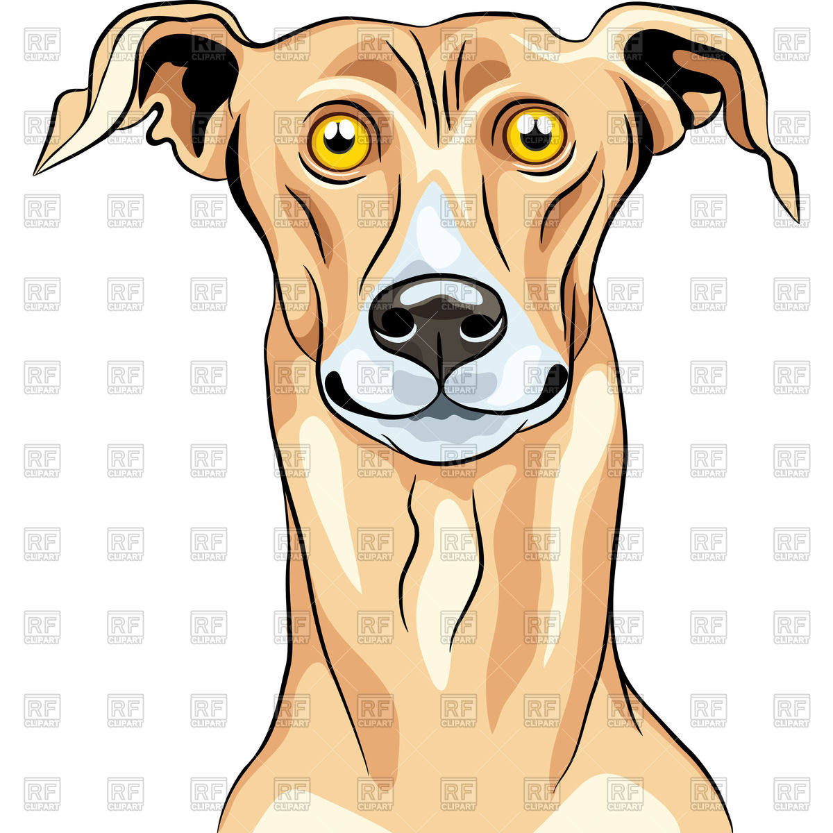 Portrait Of Surprised Greyhound Vector Image Of Plants And Animals 1200x1200 Portrait Of Surprised Greyhound Vector Image Of Plants And Animals