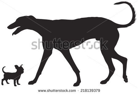 Dog Show Vector Silhouettes, Chihuahua And Greyhound Dog Breeds 450x306 Dog Show Vector Silhouettes, Chihuahua And Greyhound Dog Breeds
