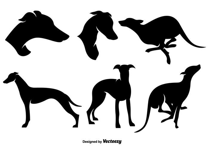 Greyhound Silhouette 700x490 Greyhound Silhouette