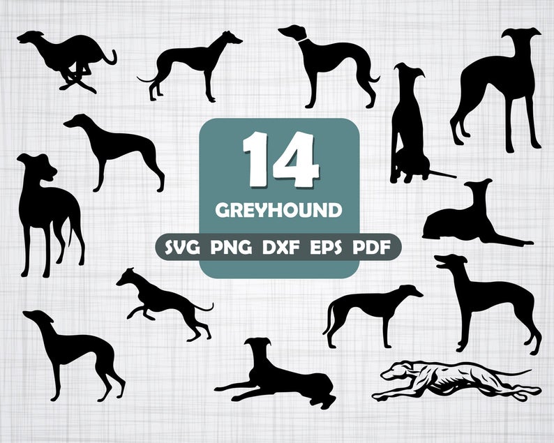 Greyhound Greyhound Greyhound Silhouette Greyhound Etsy 794x635 Greyhound Greyhound Greyhound Silhouette Greyhound Etsy