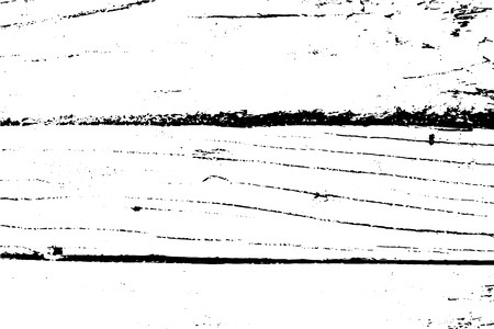 450x300 Monochrome Distressed Vector Texture Natural Timber Ornament