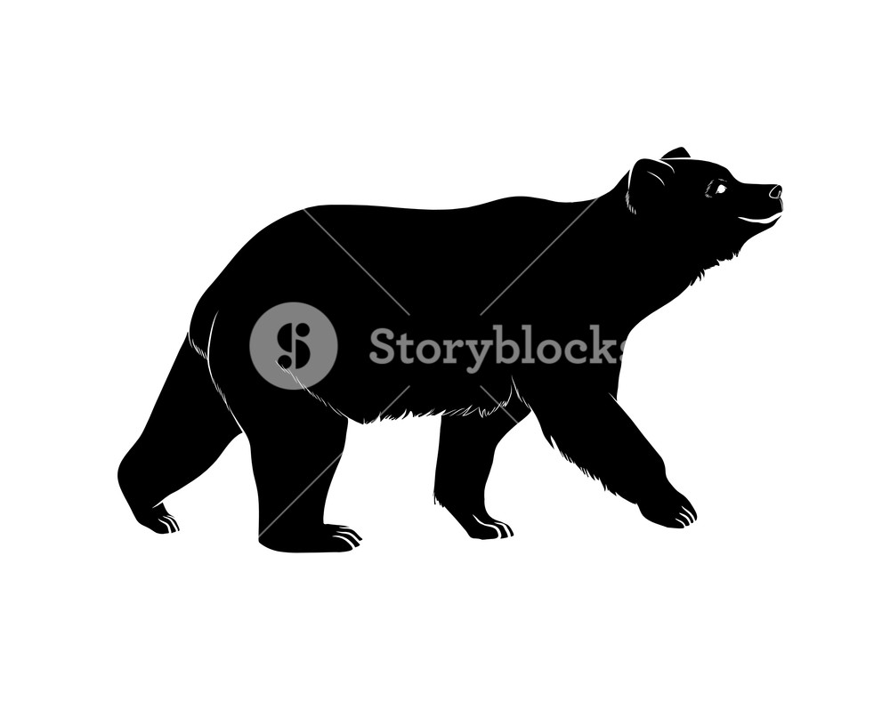 1000x788 Bear Silhouette Vector Royalty Free Stock Image