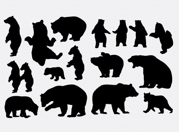 626x464 Grizzly Bear Wild Animal Silhouette Vector Premium Download