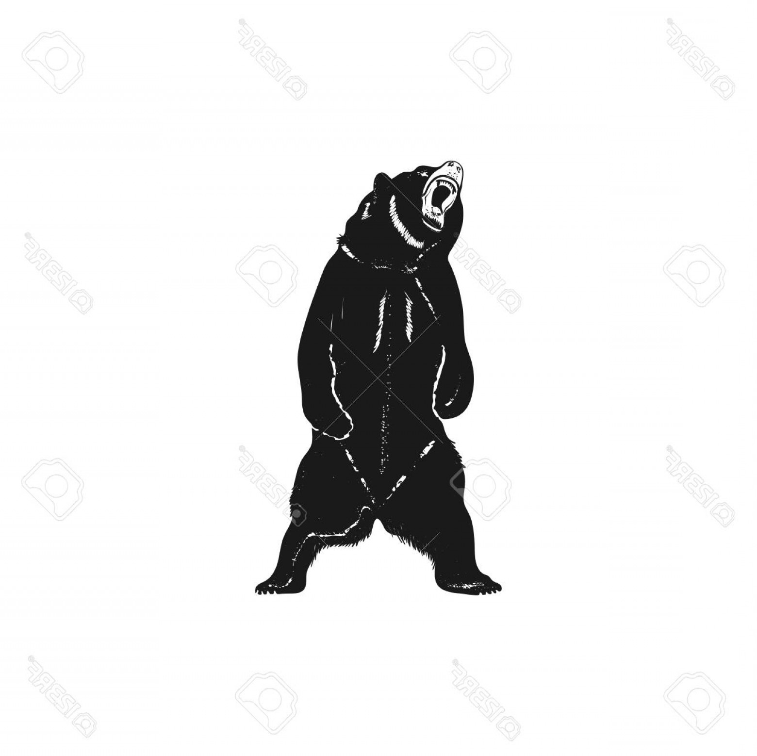 1560x1558 Photogrizzly Bear Silhouette Shape Distressed Wild Animal Icon