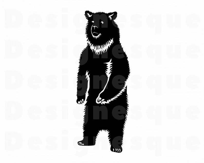 bear body drawing