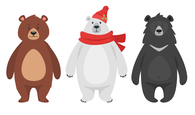 677x400 Grizzly Bear On Curated Vector Illustrations, Stock Royalty Free