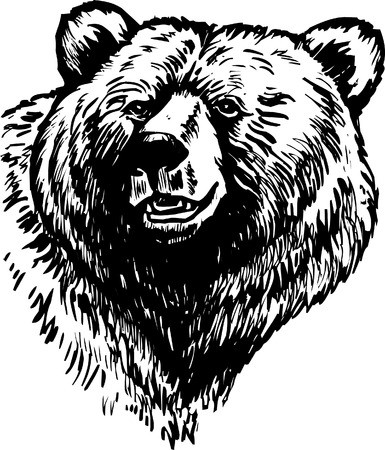 385x450 Grizzly Brown Bear Vector Royalty Free Vector Graphics