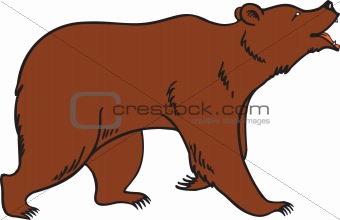 340x220 Image Grizzly Brown Bear Vector From Crestock Stock Photos