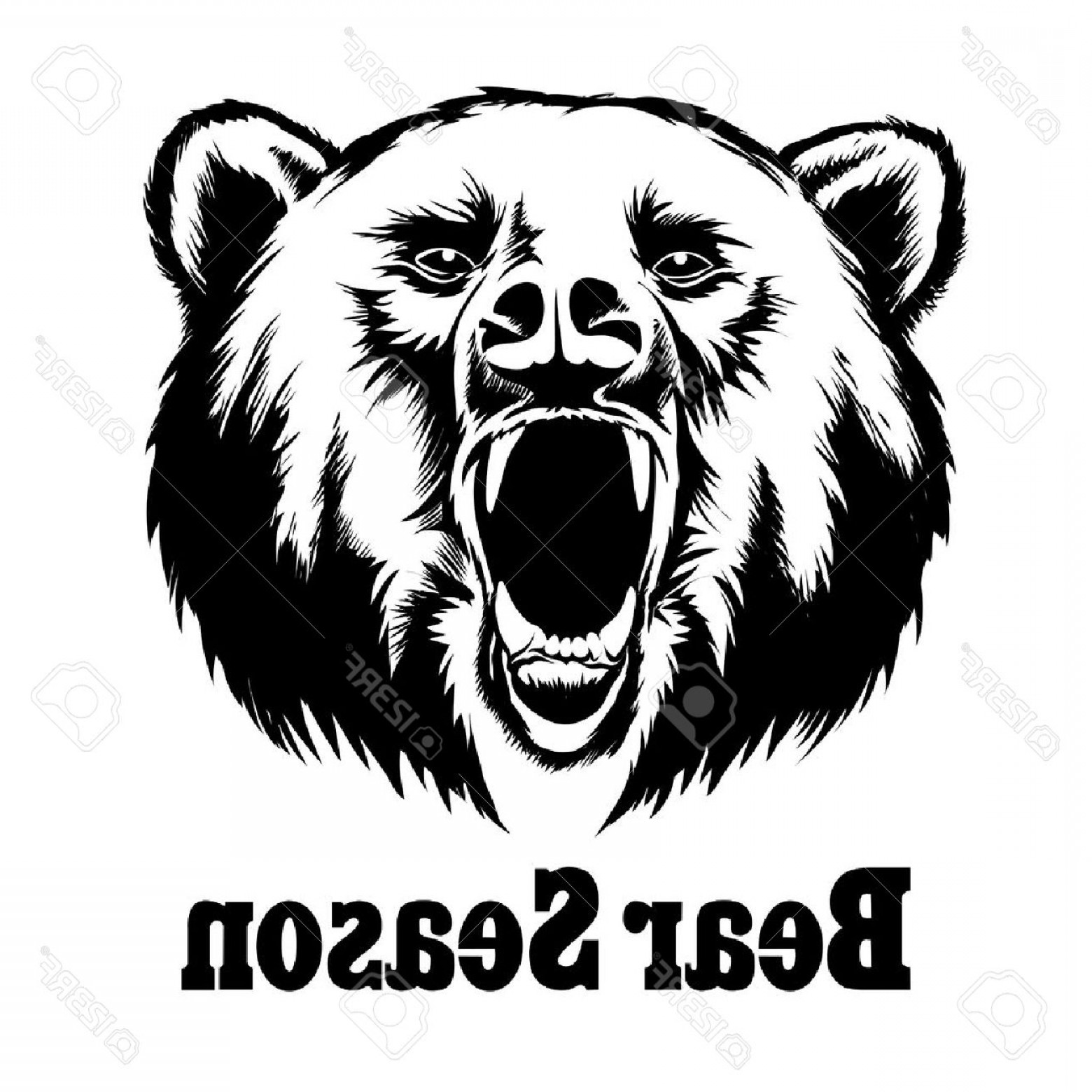1560x1560 Photostock Vector Hand Drawn Vector Roaring Bear T Shirt Design