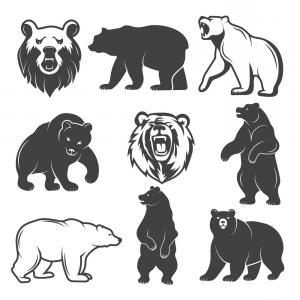 300x300 Cartoon Brown Grizzly Bear Gm Hoodamathrun