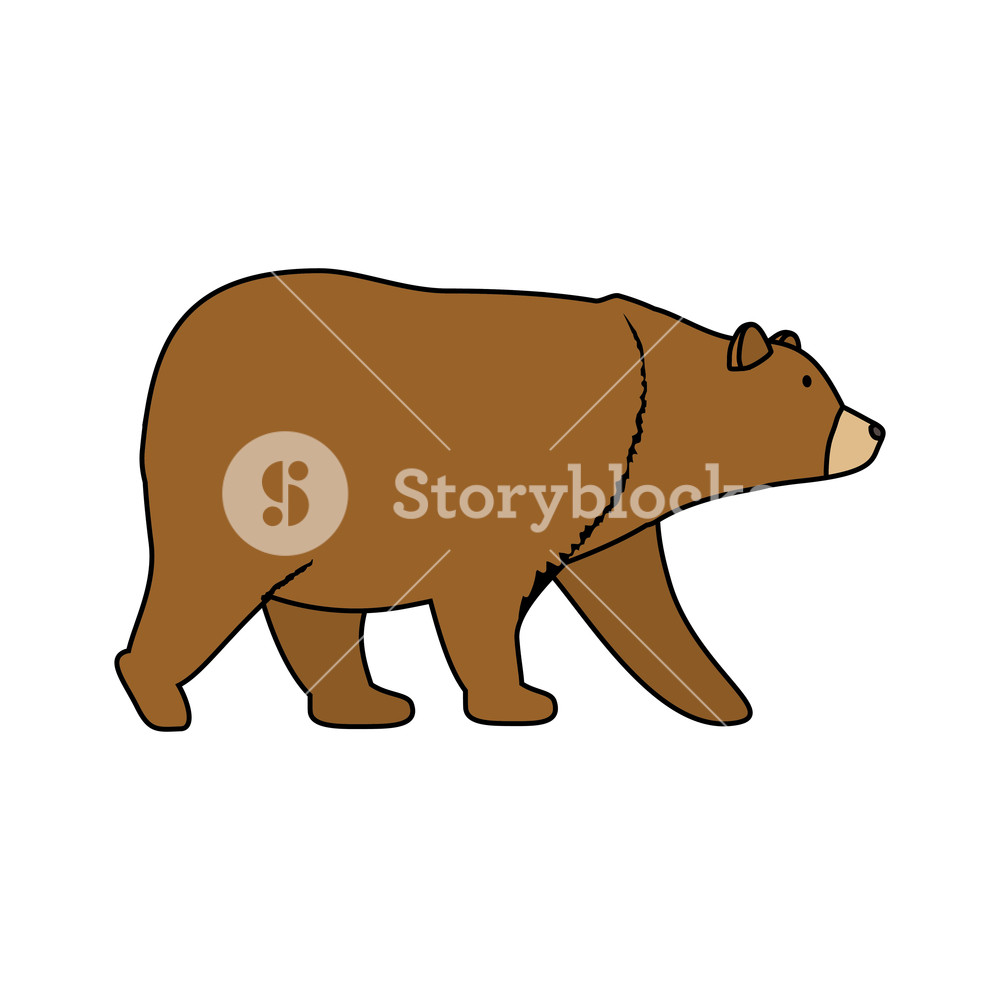 Grizzly Vector at Vectorified.com | Collection of Grizzly Vector free ...