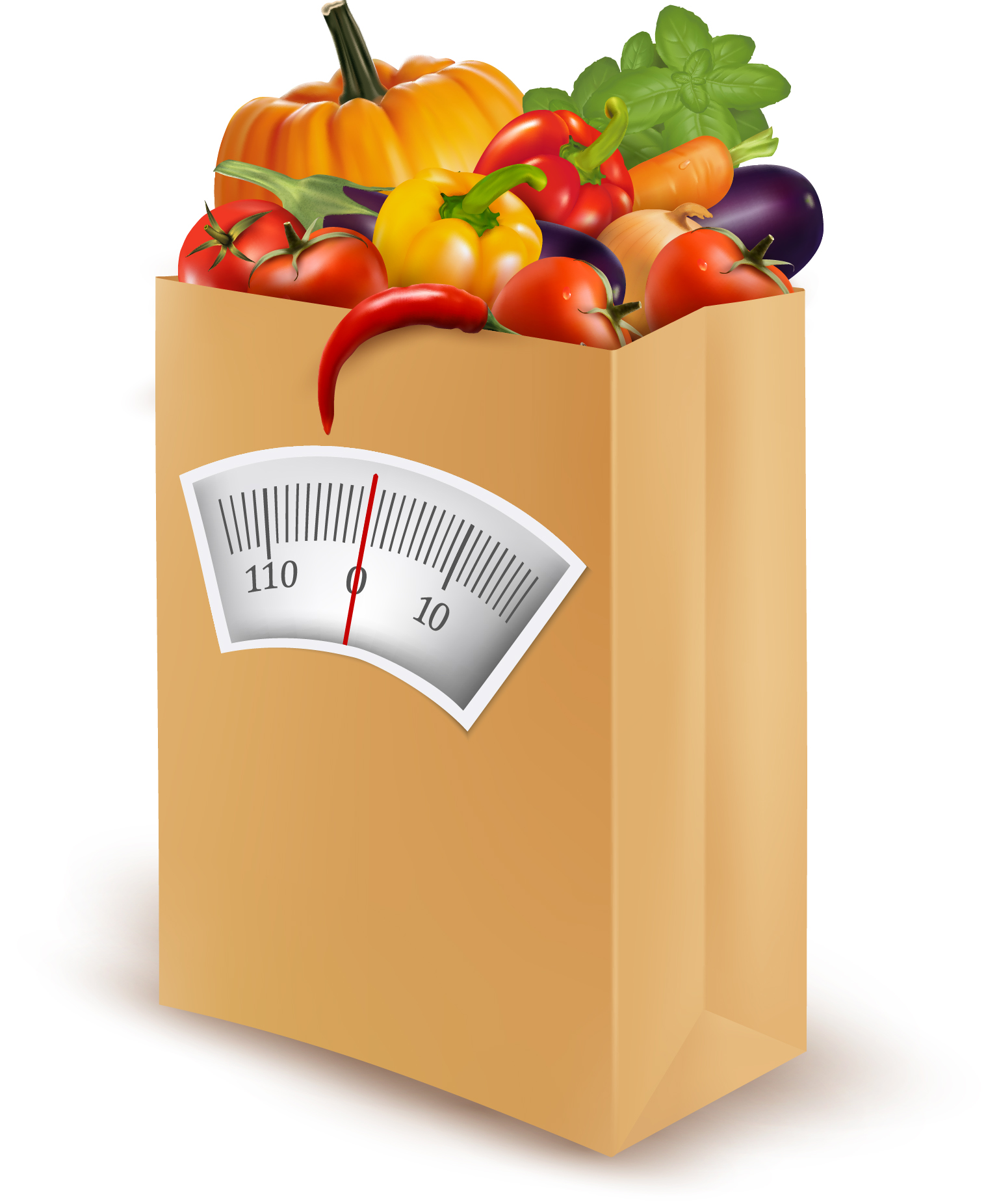 Fresh Vegetables And Shopping Bag Vector Free Download 1537x1852 Fresh Vegetables And Shopping Bag Vector Free Download