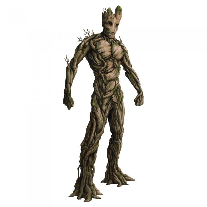 700x700 Groot Png Vector, Clipart