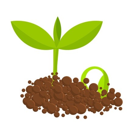 Germinating Plants From Ground Vector Illustration Royalty Free 450x442 Germinating Plants From Ground Vector Illustration Royalty Free