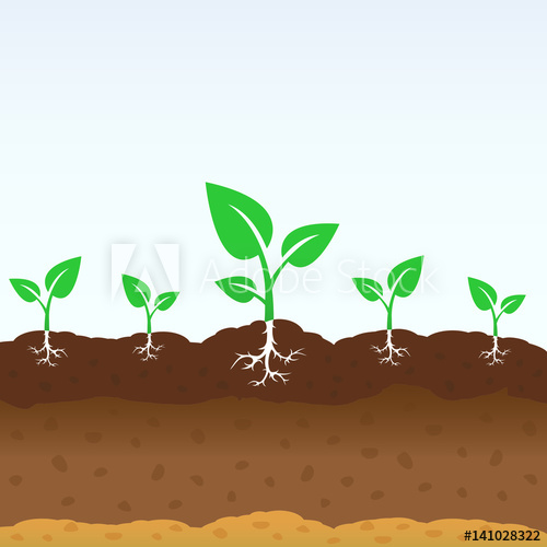 Growing Shoots Out Of The Ground Vector Plant Growing Concept 500x500 Growing Shoots Out Of The Ground Vector Plant Growing Concept