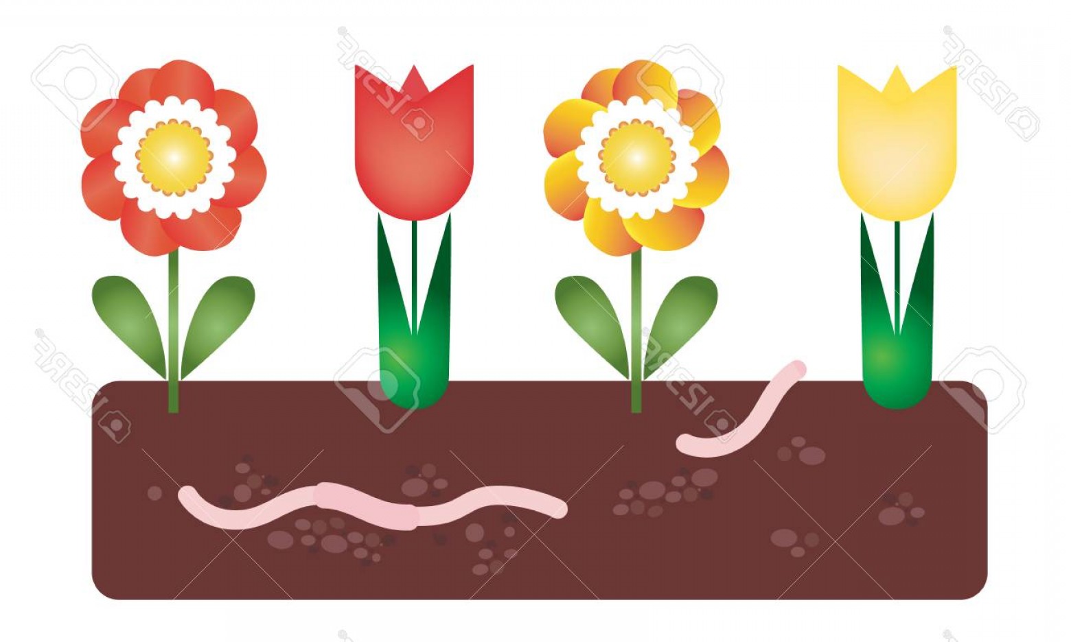 Photostock Vector Flower Bed With Soil And Earthworm Under 1560x936 Photostock Vector Flower Bed With Soil And Earthworm Under