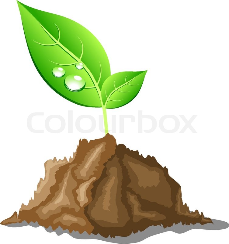 Young Sprout In Ground Vector Stock Vector Colourbox 753x800 Young Sprout In Ground Vector Stock Vector Colourbox