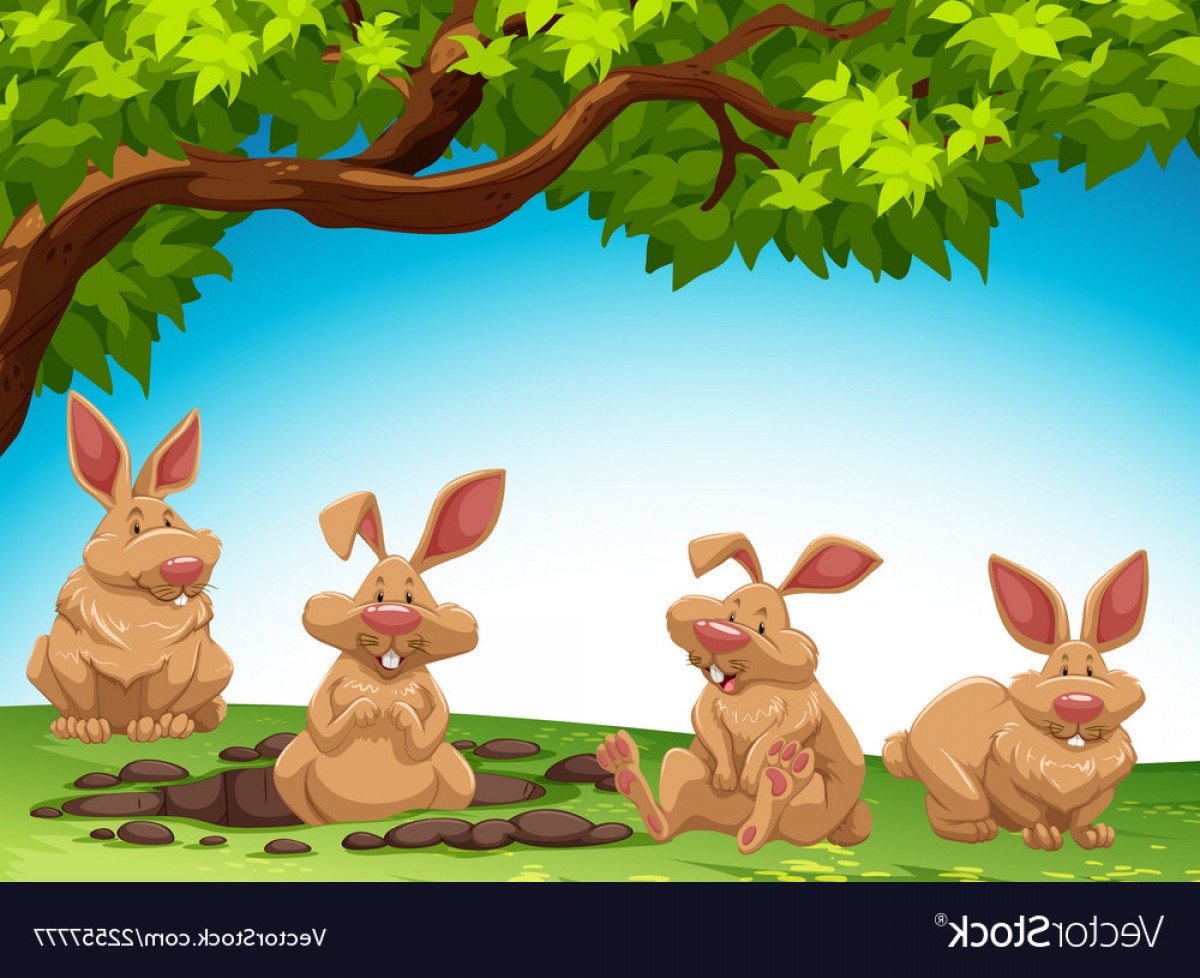 Digging Raccoon Vector Art Catchsplace 1200x978 Digging Raccoon Vector Art Catchsplace