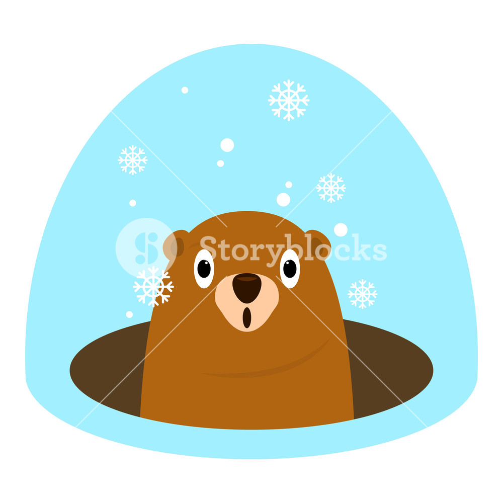 1000x1000 Groundhog