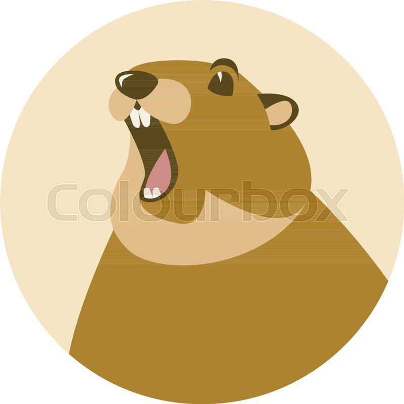 800x800 Groundhog Head Vector Illustration Stock Vector Colourbox
