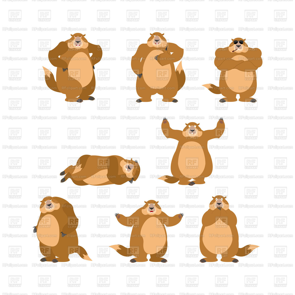 1200x1200 Groundhog Set Poses And Motion Vector Image Of Plants And Animals