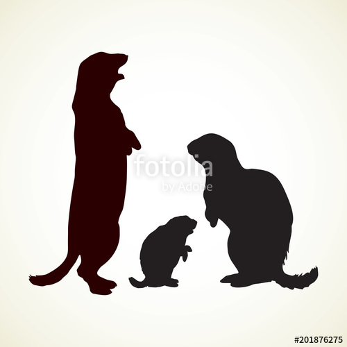 500x500 Groundhog Vector Illustration Stock Image And Royalty Free