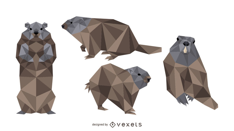900x505 Polygonal Groundhog Vector Design